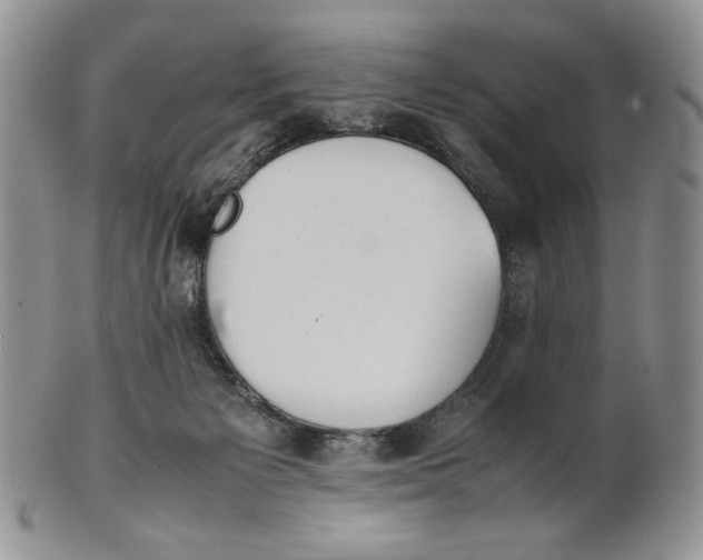 X0000100770125200807101801
