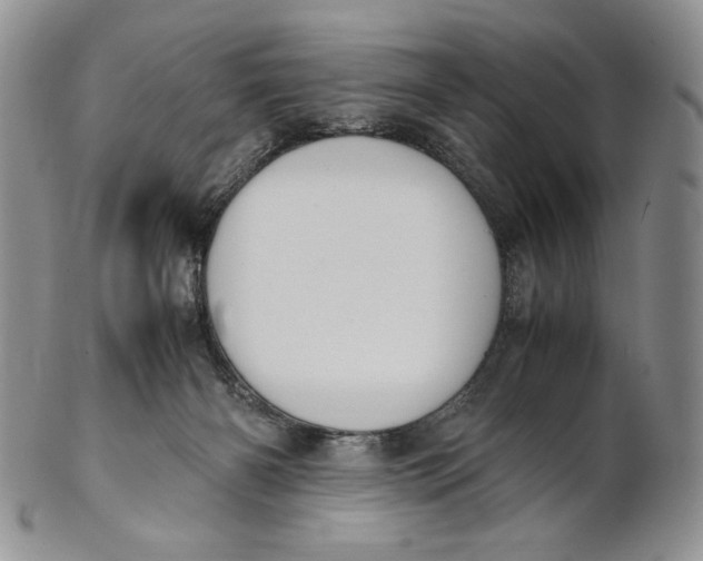 X0000100770126200807101801