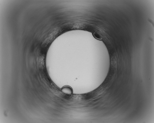 X0000100770127200807101801