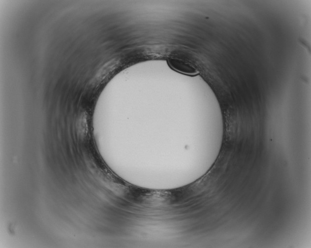X0000100770128200807101801