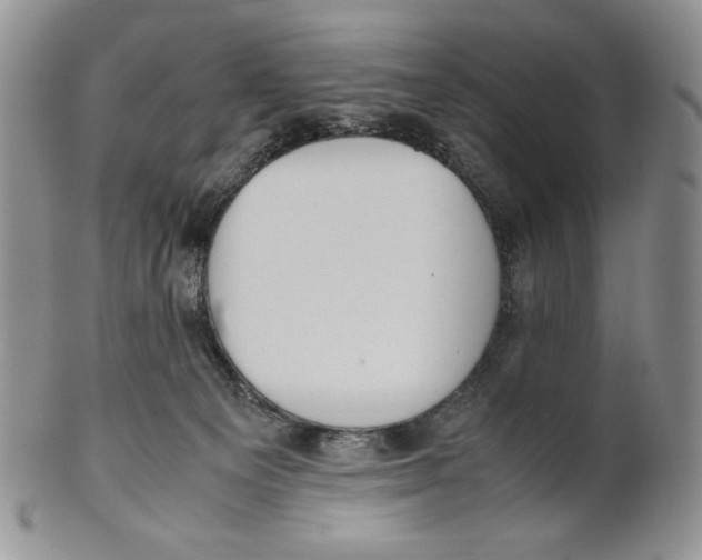 X0000100770129200807101801