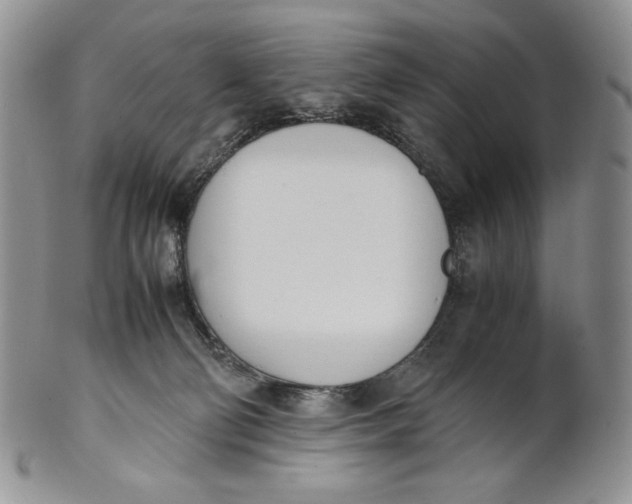 X0000100770130200807101801