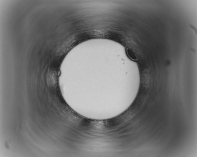X0000100770131200807101801