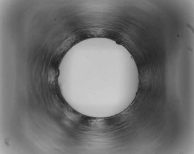 X0000100770132200807101801