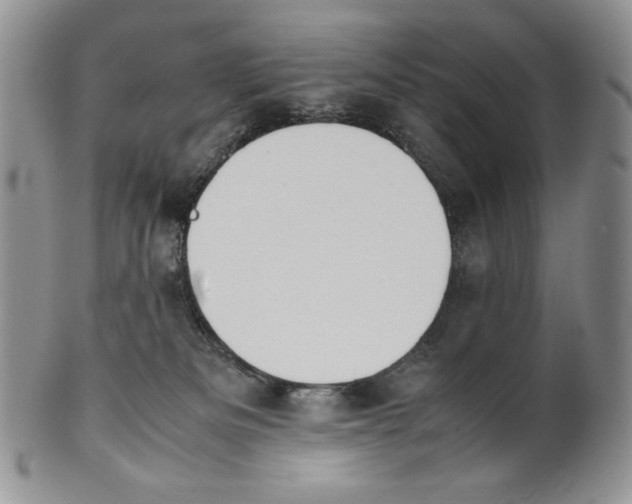 X0000100770133200807101801