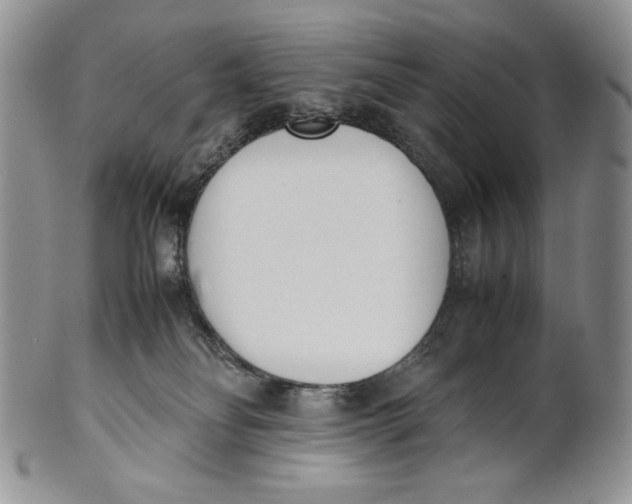 X0000100770134200807101801