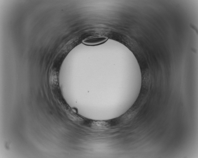 X0000100770137200807101801