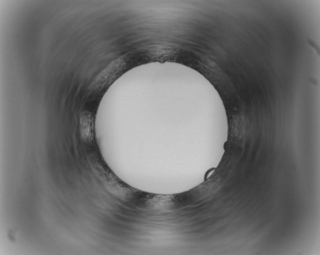 X0000100770138200807101801