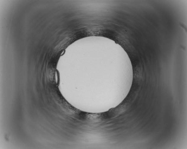 X0000100770139200807101801
