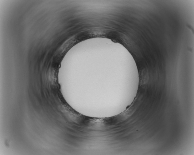 X0000100770140200807101801