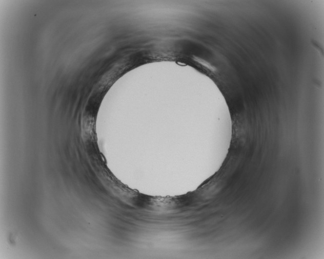 X0000100770141200807101801
