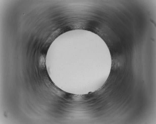 X0000100770142200807101801