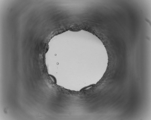 X0000100770144200807101801