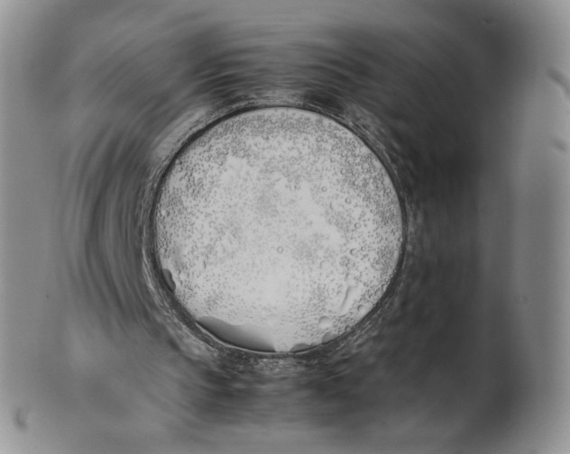 X0000100770145200807101800