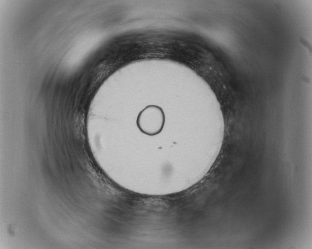 X0000100770146200807101800