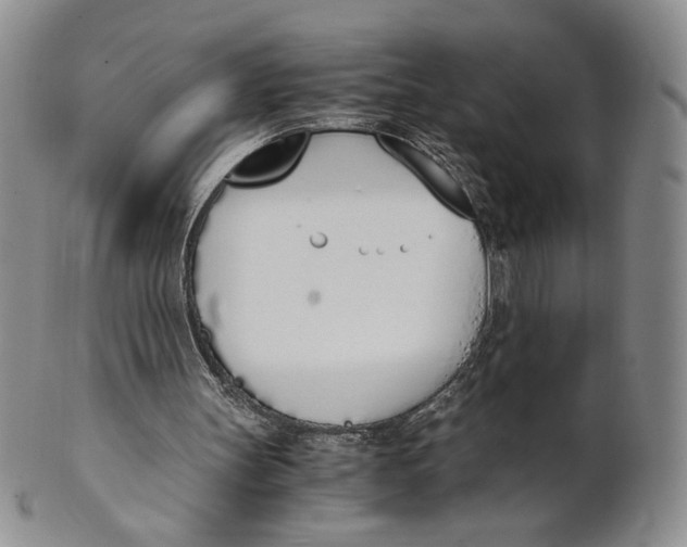 X0000100770147200807101800
