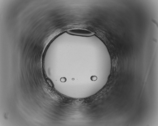 X0000100770148200807101800