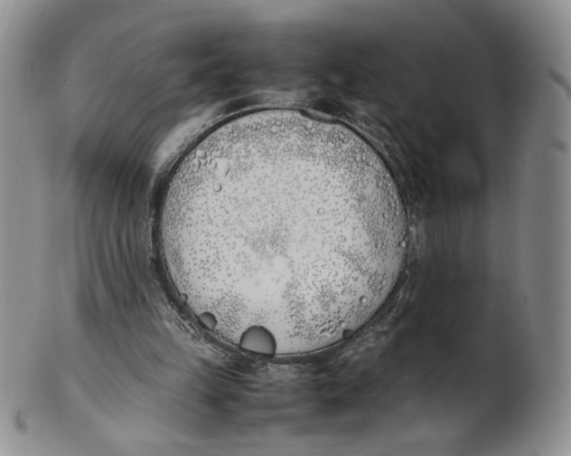X0000100770149200807101800