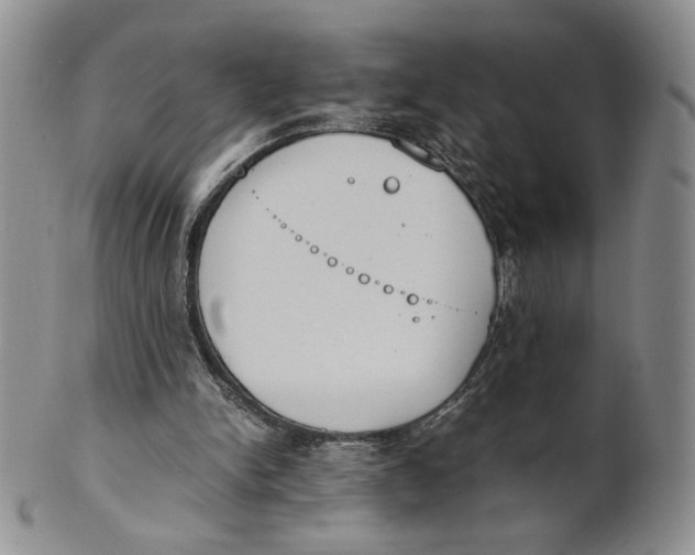 X0000100770150200807101800