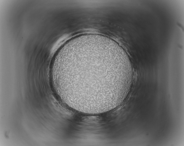 X0000100770151200807101800