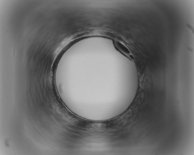 X0000100770152200807101800