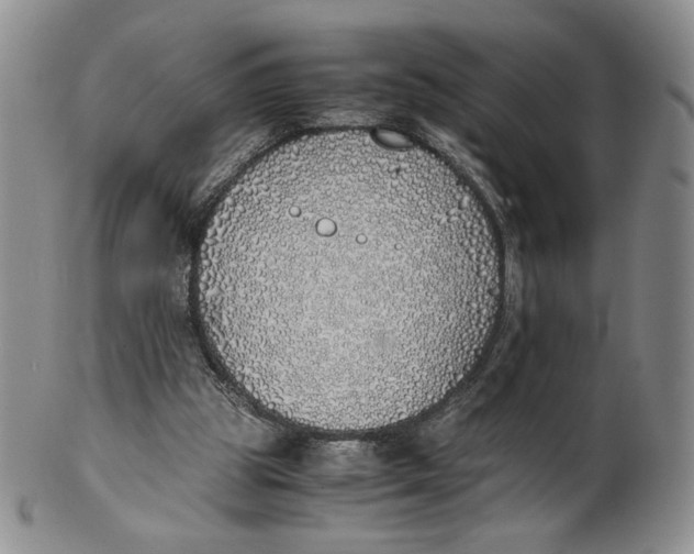X0000100770153200807101800