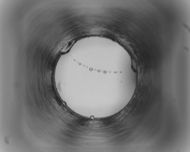 X0000100770154200807101800