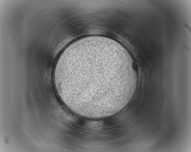 X0000100770155200807101800