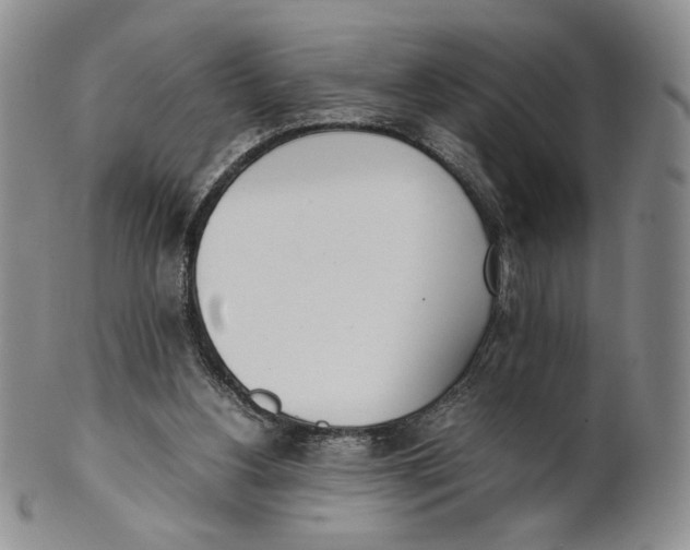 X0000100770156200807101800