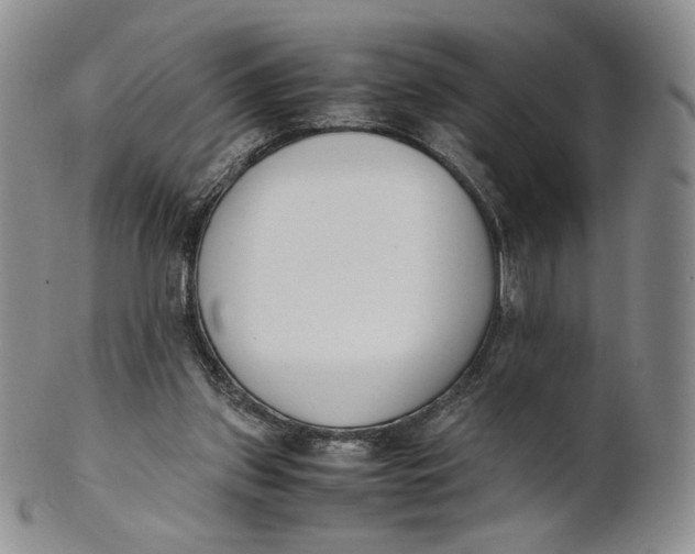 X0000100770157200807101800