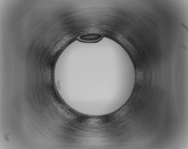X0000100770158200807101800