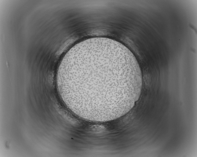 X0000100770159200807101800