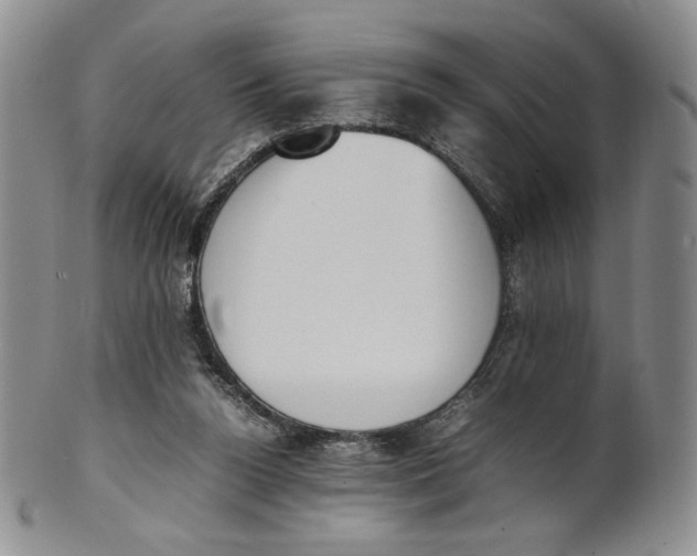 X0000100770160200807101800