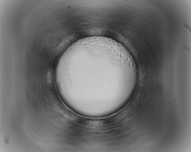 X0000100770161200807101800