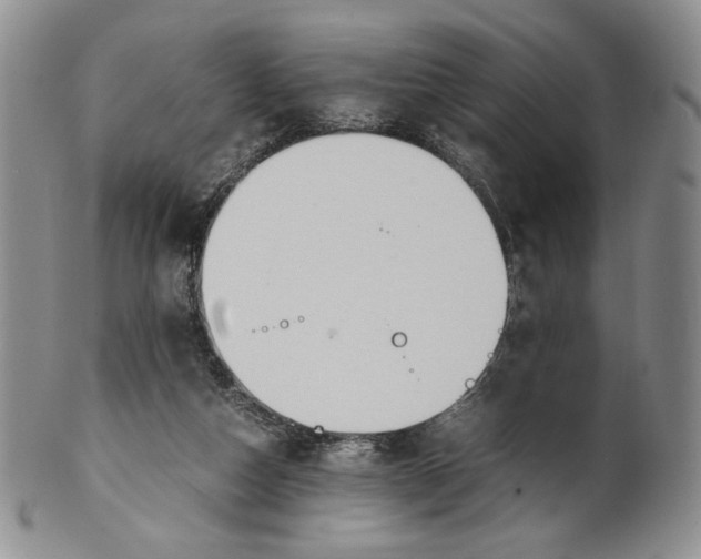 X0000100770162200807101800