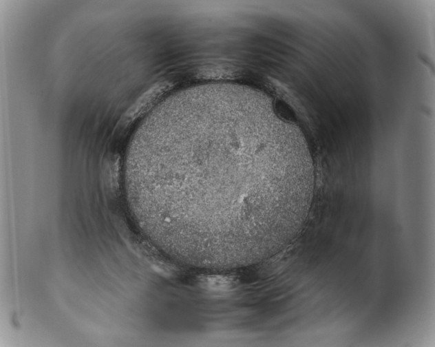 X0000100770163200807101800
