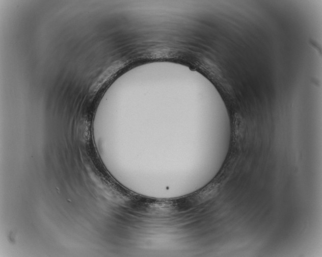 X0000100770164200807101800