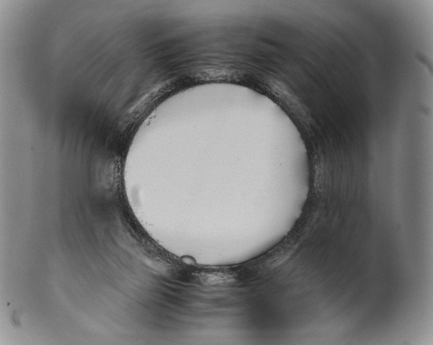 X0000100770165200807101800