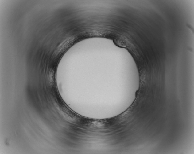 X0000100770166200807101800
