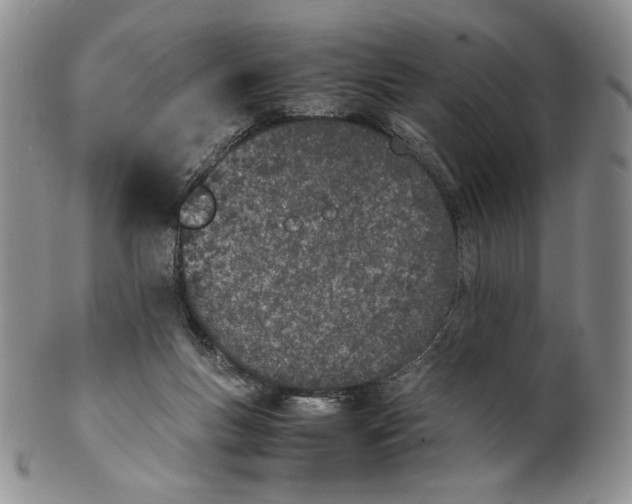 X0000100770167200807101800