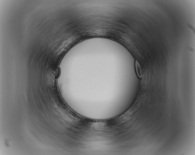 X0000100770168200807101800