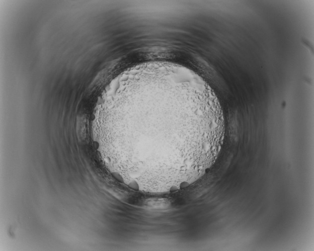 X0000100770169200807101800
