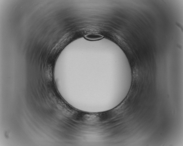 X0000100770170200807101800