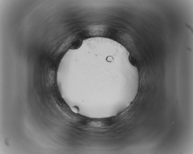 X0000100770171200807101800