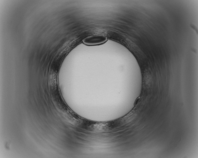 X0000100770172200807101800