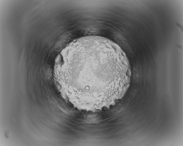 X0000100770173200807101800