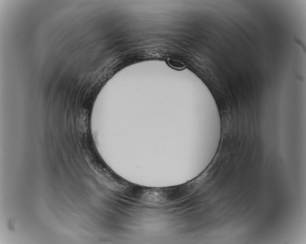 X0000100770174200807101800