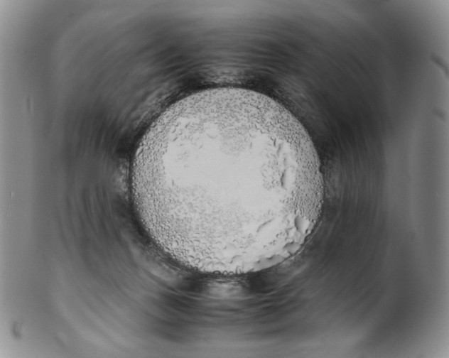 X0000100770175200807101800