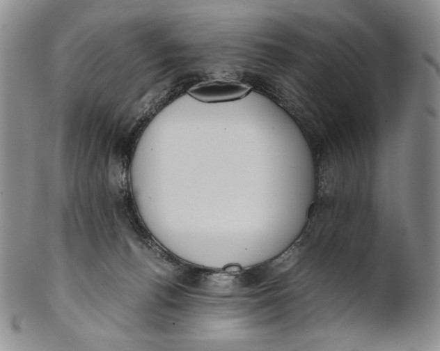 X0000100770176200807101800