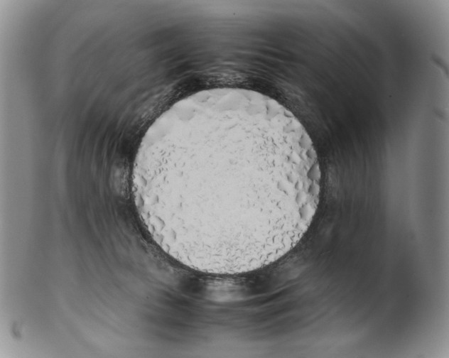 X0000100770177200807101800